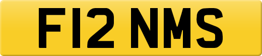F12NMS