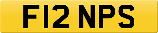 F12NPS