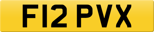 F12PVX