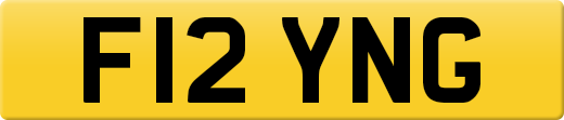 F12YNG