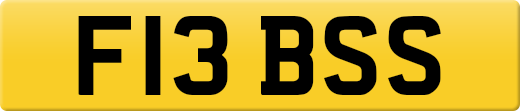 F13BSS