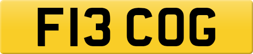 F13COG
