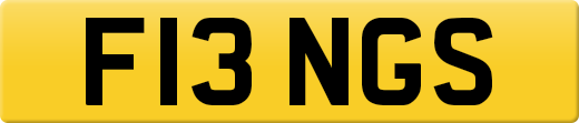 F13NGS