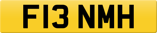 F13NMH
