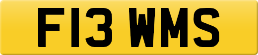 F13WMS