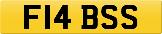 F14BSS