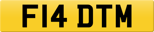 F14DTM