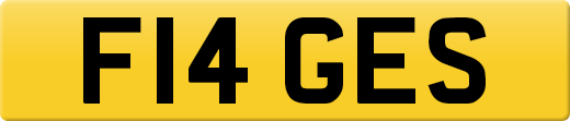 F14GES