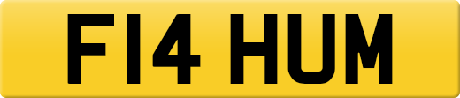 F14HUM