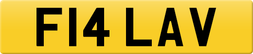 F14LAV