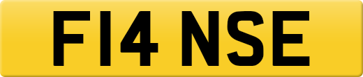 F14NSE
