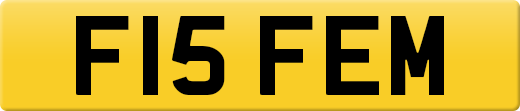 F15FEM