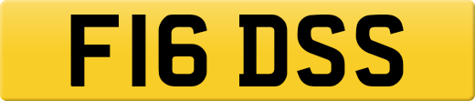 F16DSS