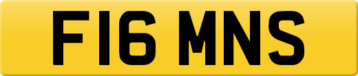 F16MNS