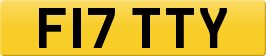 F17TTY