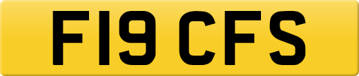 F19CFS