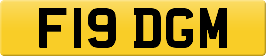 F19DGM