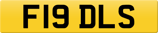 F19DLS
