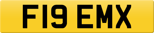 F19EMX