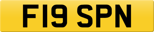F19SPN