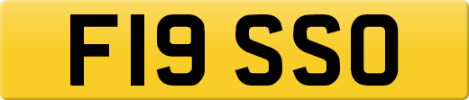 F19SSO