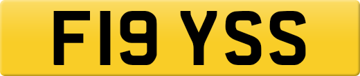 F19YSS