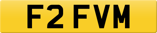 F2FVM
