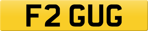 F2GUG