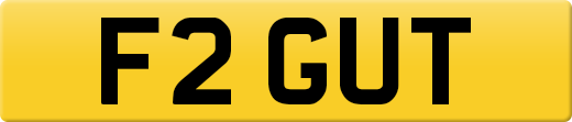 F2GUT