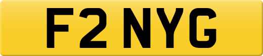 F2NYG