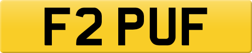 F2PUF