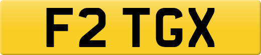 F2TGX