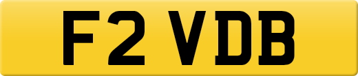 F2VDB