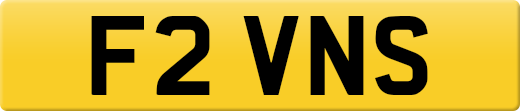 F2VNS