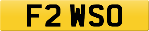 F2WSO