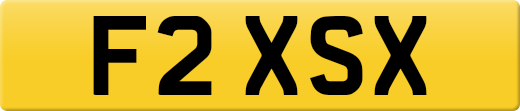 F2XSX