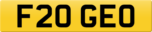 F20GEO