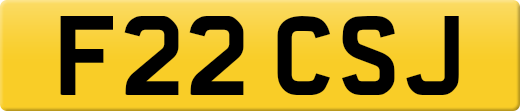 F22CSJ