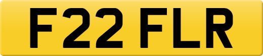 F22FLR
