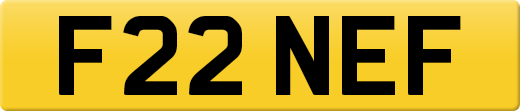 F22NEF