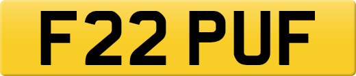 F22PUF