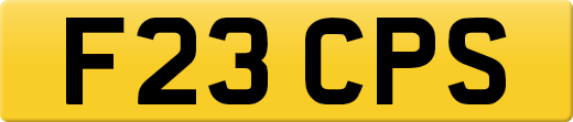 F23CPS