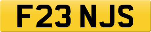 F23NJS