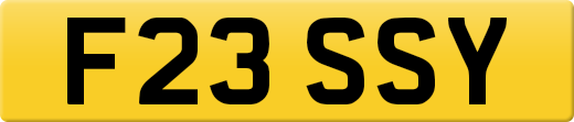 F23SSY