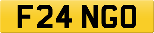 F24NGO