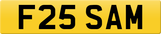 F25SAM