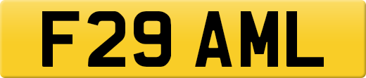 F29AML