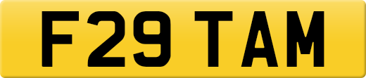 F29TAM