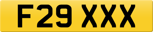 F29XXX