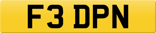 F3DPN